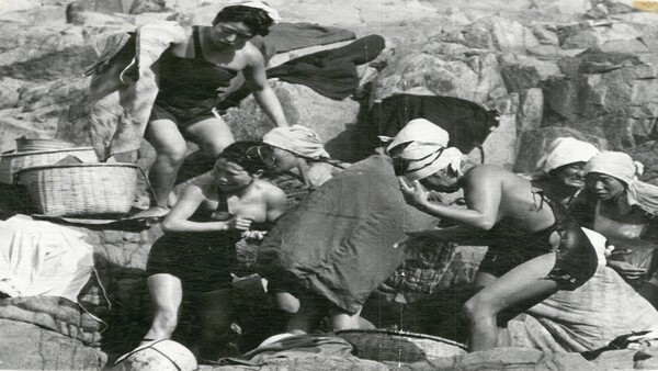 Hải nữ là nghề gì mà khiến IU