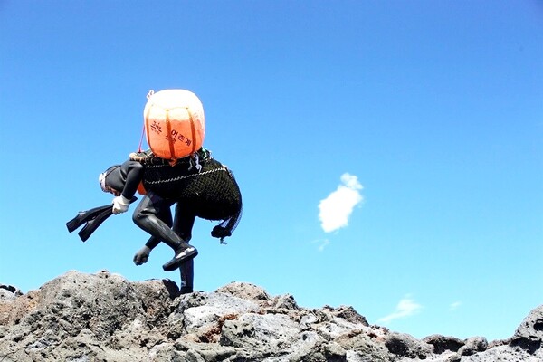 Hải nữ là nghề gì mà khiến IU