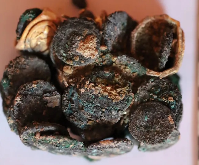 Phát hiện Phát hiện