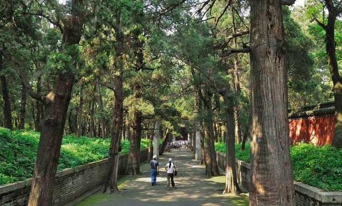 Lật tẩy bí mật của hiện tượng kỳ lạ ở mộ Khổng Tử