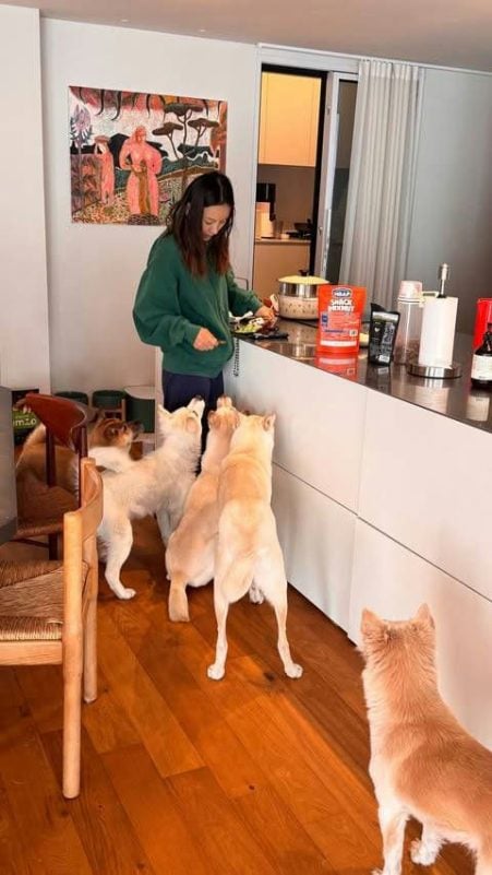 Lee Hyori tiết lộ từng bị chó cắn suýt đứt ngón tay- Ảnh 1. Lee Hyori tiết lộ từng bị chó cắn suýt đứt ngón tay- Ảnh 1.