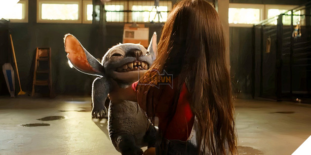 Hãng Disney Cân Nhắc Ra Mắt Phần 2 Live-Action Cho Câu Chuyện Lilo & Stitch 2