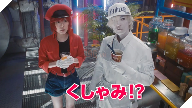 Hataraku Saibō!! làm mưa làm gió phòng vé Nhật Bản, fan Việt mong chờ ngày ra rạp 2