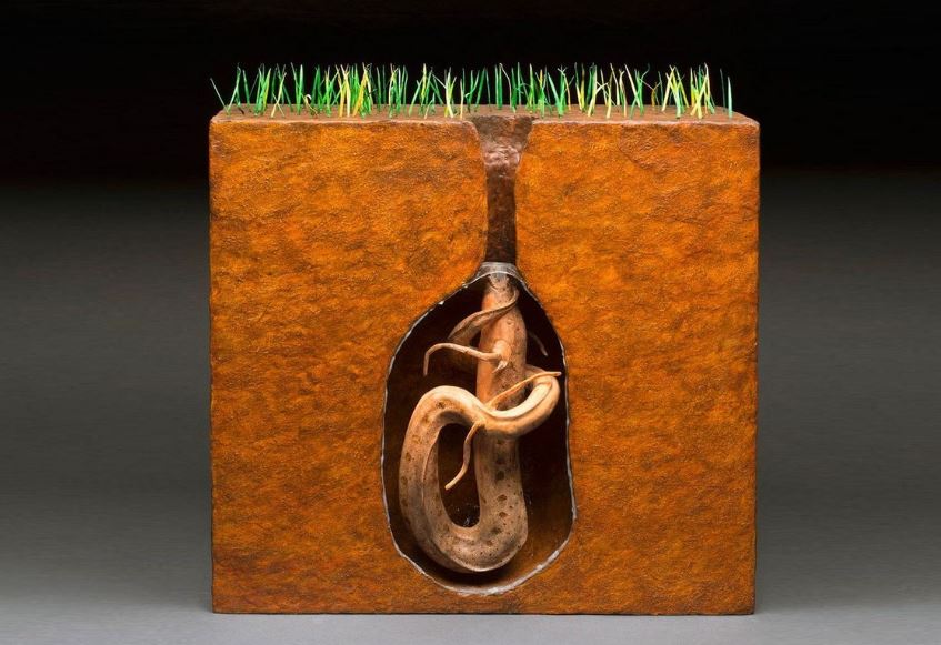 Loài cá duy nhất trên thế giới có thể sống 5 năm không cần nước- Ảnh 4.