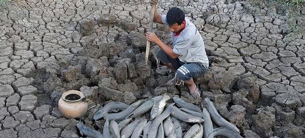 Loài cá duy nhất trên thế giới có thể sống 5 năm không cần nước- Ảnh 6.