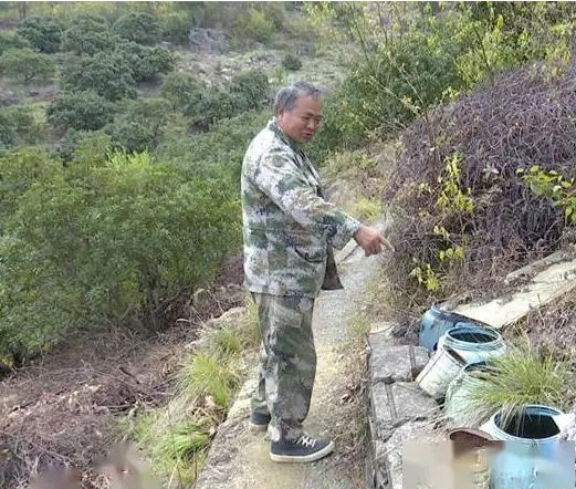 Thấy tiếng động lạ trong xô nước, cán bộ kiểm lâm hân hoan tìm thấy loài Thấy tiếng động lạ trong xô nước, cán bộ kiểm lâm hân hoan tìm thấy loài