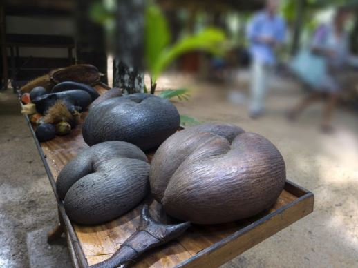 Loại hạt khổng lồ đắt đỏ bậc nhất thế giới, mỗi hạt giá 71 triệu đồng- Ảnh 4.