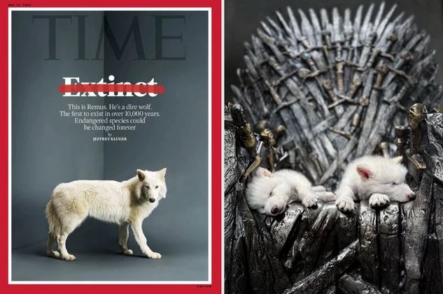 Loài vật quý hiếm bậc nhất thế giới, tuyệt chủng cách đây 12.500 năm, vừa được hồi sinh- Ảnh 1.