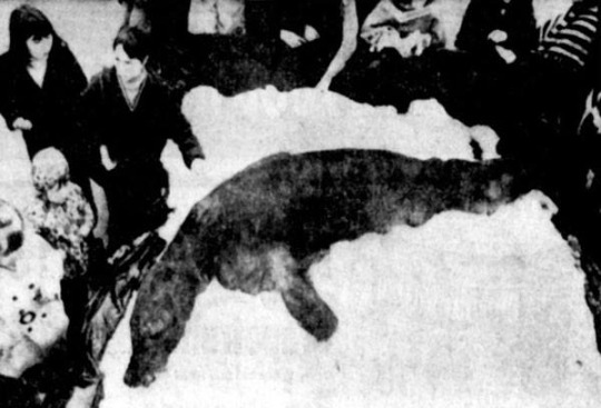 Ngày này gần 50 năm trước, Trái Đất đột nhiên mất đi lực hút- Ảnh 3.