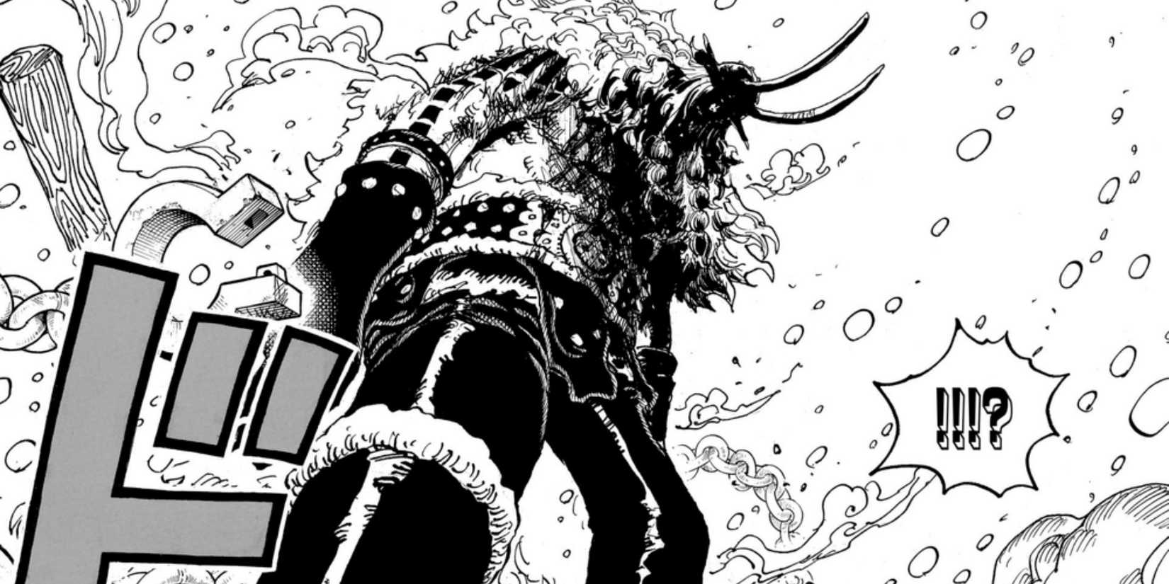 One Piece: Thành viên cuối cùng của băng Mũ Rơm đã được Oda giới thiệu từ 8 năm trước- Ảnh 1.