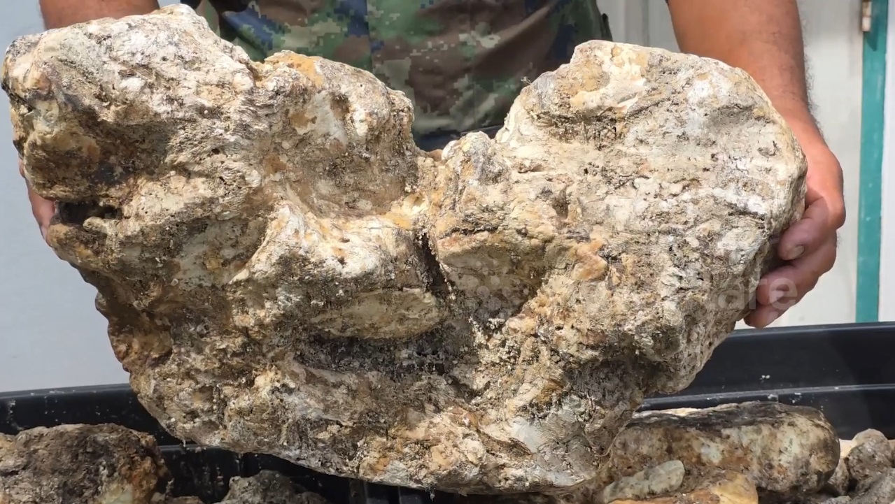 Đánh cá trên biển, người đàn ông vớt được thứ trị giá 98 tỷ đồng- Ảnh 1. Đánh cá trên biển, người đàn ông vớt được thứ trị giá 98 tỷ đồng- Ảnh 1.