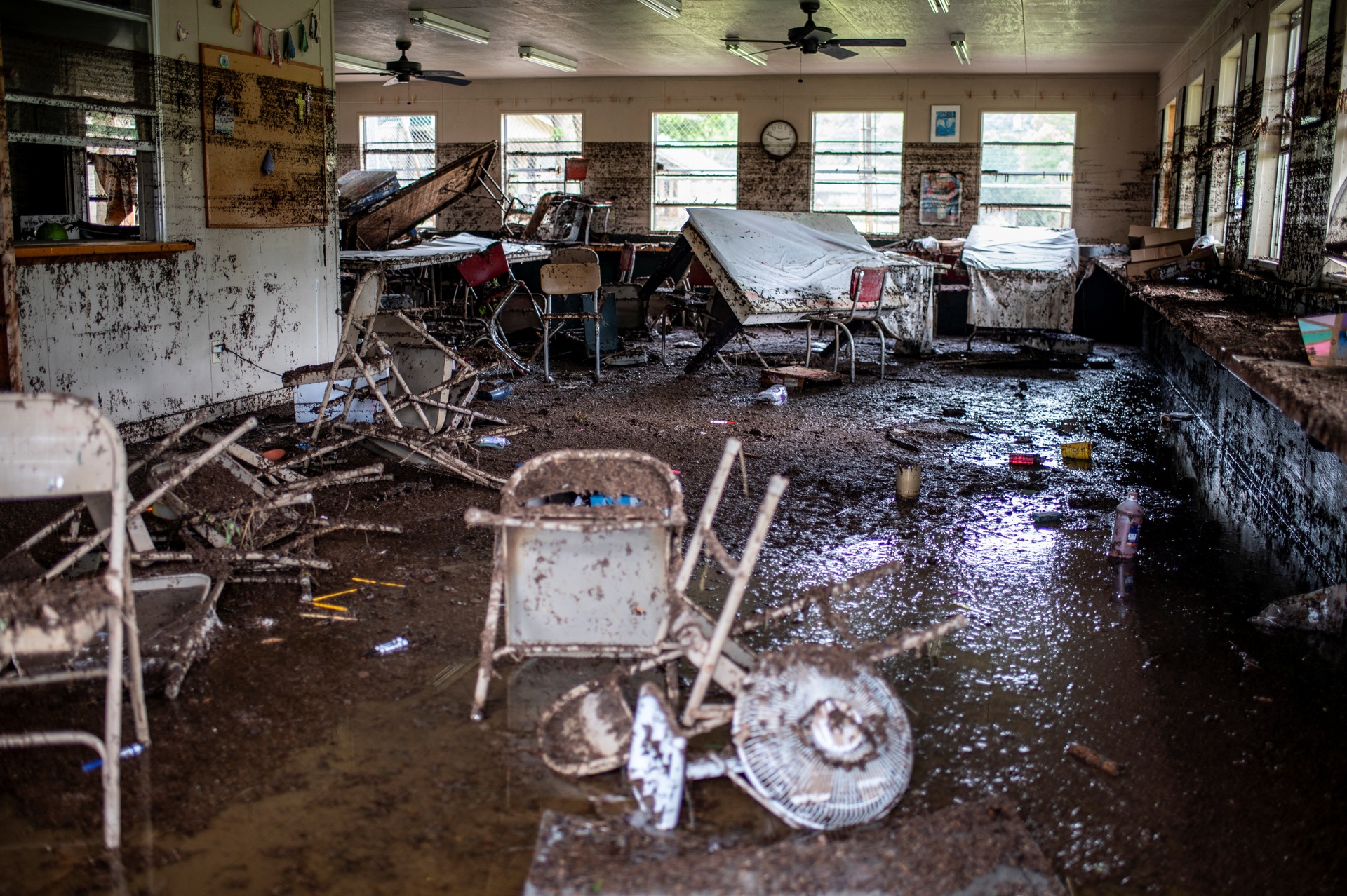 Những câu chuyện thương tâm sau thảm họa thiên tai tàn khốc nhất lịch sử Texas: Số người chết đã tăng lên 104, nhiều gương mặt Những câu chuyện thương tâm sau thảm họa thiên tai tàn khốc nhất lịch sử Texas: Số người chết đã tăng lên 104, nhiều gương mặt