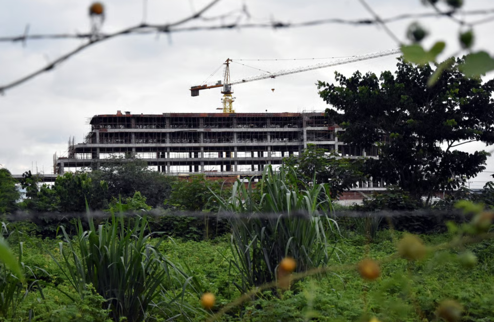 Nam sinh Trung Quốc thoát khỏi ổ lừa đảo ở Myanmar vì ‘có tương lai tươi sáng’- Ảnh 2.