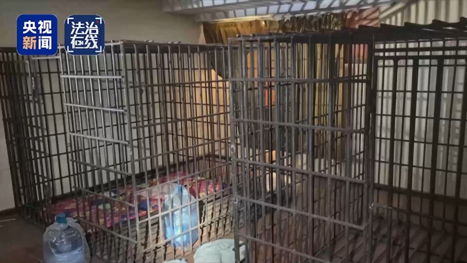 Trung Quốc bóc trần tội ác của “tứ đại gia tộc” lừa đảo ở Myanmar- Ảnh 3.