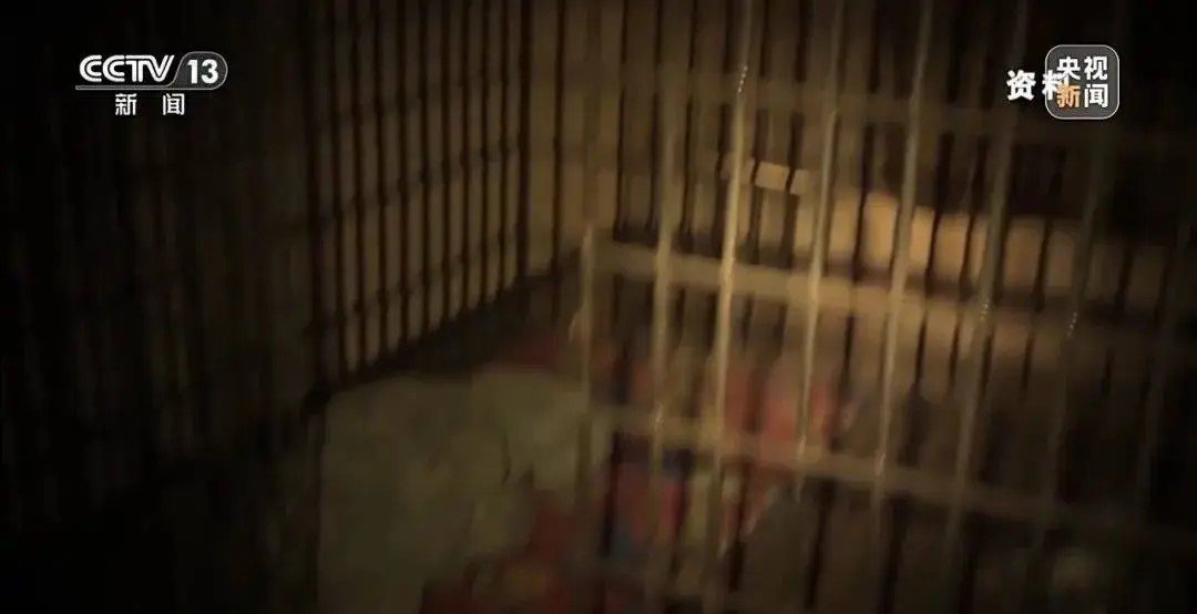 lua-dao-qua-mang-5-1754230467-555-width1080height554 Nếu không nghe lời, nạn nhân sẽ bị phơi nắng ban ngày, bị đánh đập vào ban đêm.