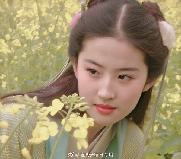10 công chúa đẹp nhất Trung Quốc: Lưu Diệc Phi chỉ xếp thứ 6, hạng 1 đến cả thần tiên cũng không sánh bằng- Ảnh 21.