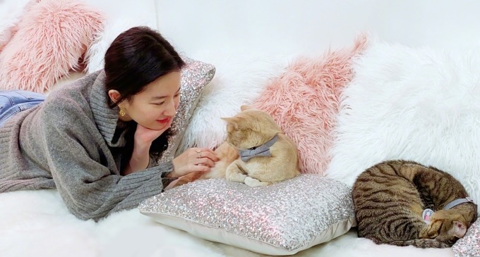 Không ai dám cưới Lưu Diệc Phi- Ảnh 9.