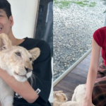 Hoa hậu Tiểu Vy lần đầu lên tiếng thông tin hẹn hò mỹ nam Thái Lan m111 17387594700061748575712 17387654567131254660040 0 0 251 480 crop 17387654667741681781038png