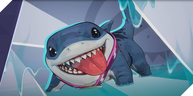 jeff the land shark đã trở thành một hỗ trợ tuyệt vời sau rất nhiều sự nghi ngờ