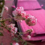 Hình ảnh lạ: “Thành phố thiên thần” Los Angeles phủ màu hồng trong thảm họa cháy rừng massive los angeles fires rage on saz6uagc 17370017058931777748507 1737012235135 17370122352251930207226 19 0 874 1368 crop 1737012269595137202124jpeg