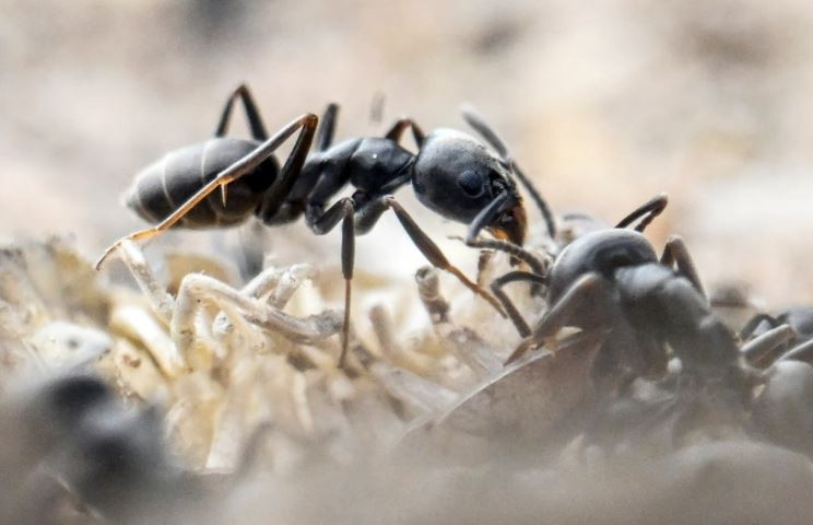 Mất điện, mất Internet vì hàng triệu