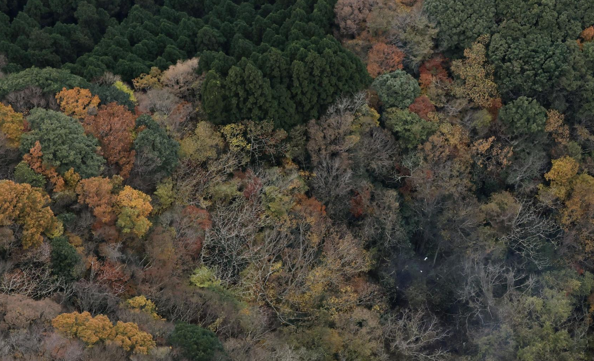 Rơi máy bay tại Nhật Bản, 3 người trên khoang thiệt mạng- Ảnh 2. Rơi máy bay tại Nhật Bản, 3 người trên khoang thiệt mạng- Ảnh 2.
