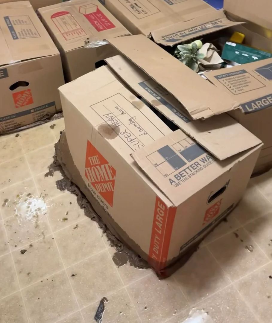 Cay đắng: Bộ sưu tập Pokémon TCG trị giá hàng ngàn USD mất trắng sau 3 ngày bị ngâm nước thải- Ảnh 1.