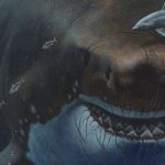 Loài cá mập lớn nhất thế giới 'gầy' hơn tưởng tượng mega4 14083898 1741772664589 17417726646862116258239 12 0 462 720 crop 17417726826661362219080jpeg