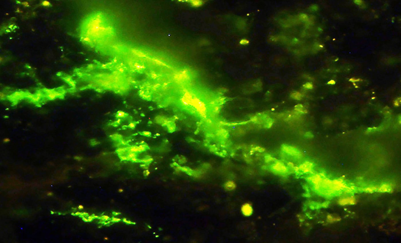 Một tảng đá 2 tỷ năm tuổi vừa nứt ra, để lộ bên trong bí mật chấn động- Ảnh 2.