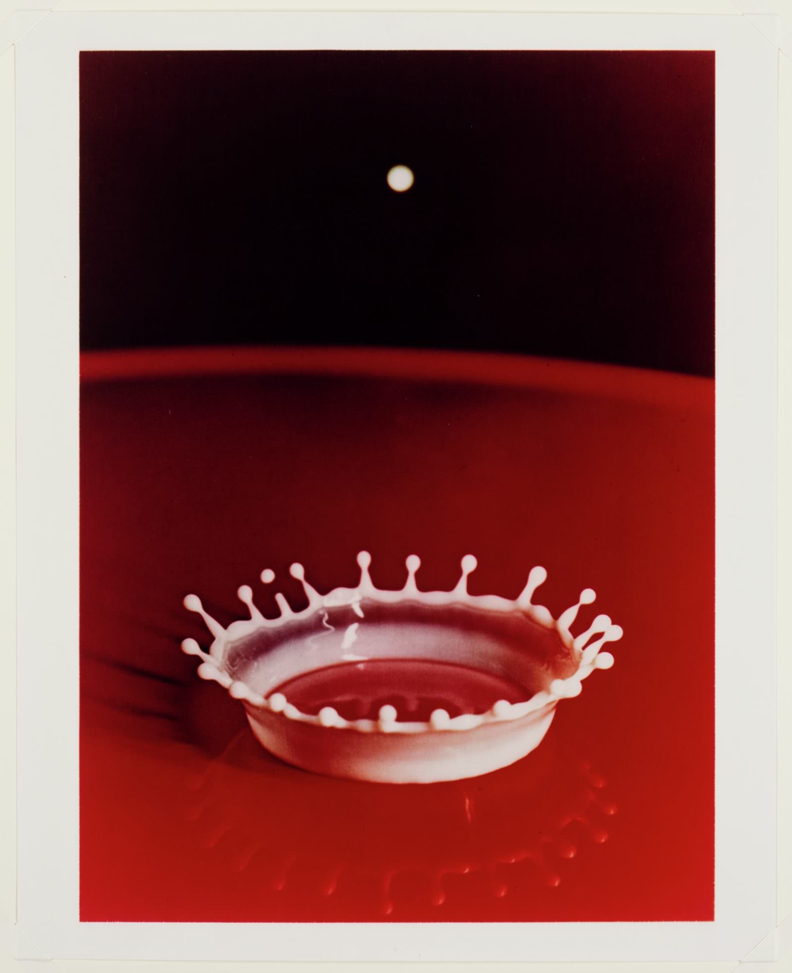 10 bức ảnh mang tính bước ngoặt trong lịch sử nhân loại- Ảnh 8. 10 bức ảnh mang tính bước ngoặt trong lịch sử nhân loại- Ảnh 8.