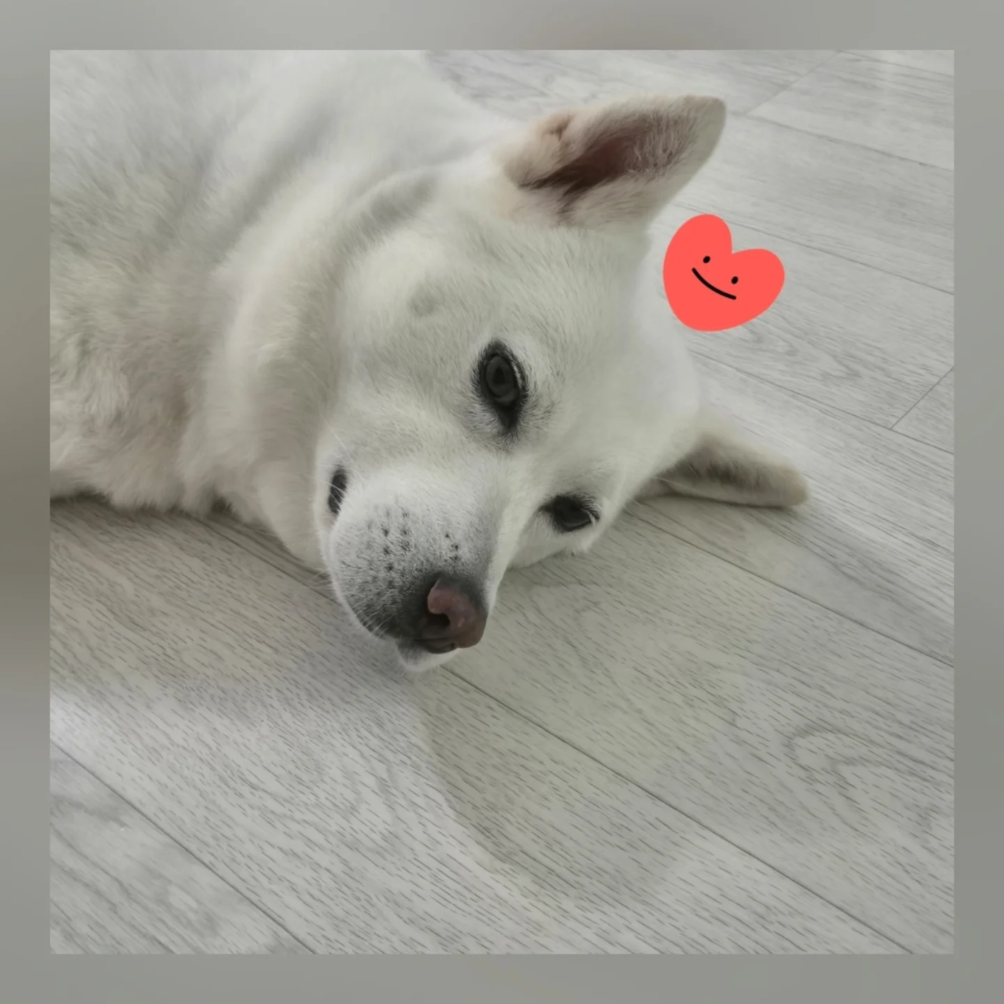 "Em trai Duk Sun" Reply 1988 sống thế nào sau 9 năm mắc ung thư máu? miraclesw2539750982183156725172464603185290623005976384n 17566328385151773454589 1756635026361 17566350267161959122616