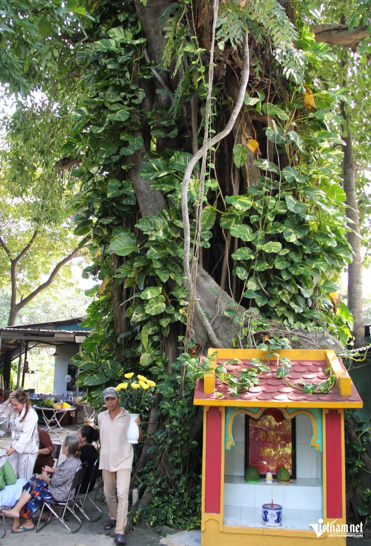 Phần gốc (ảnh trái) và thân trên (ảnh phải) của