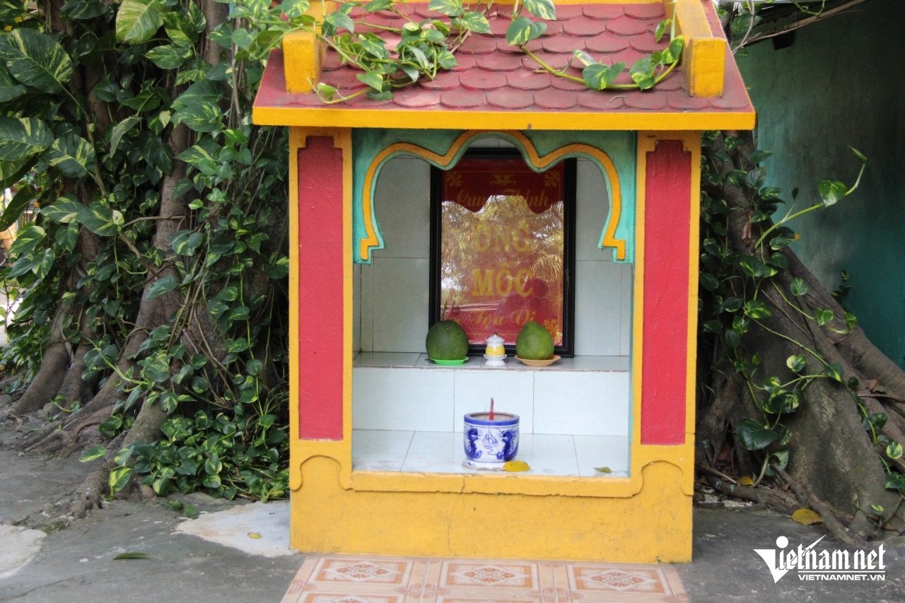 Các am thờ nhỏ bên dưới gốc cây cổ thụ.  Ảnh: Hà Nguyễn