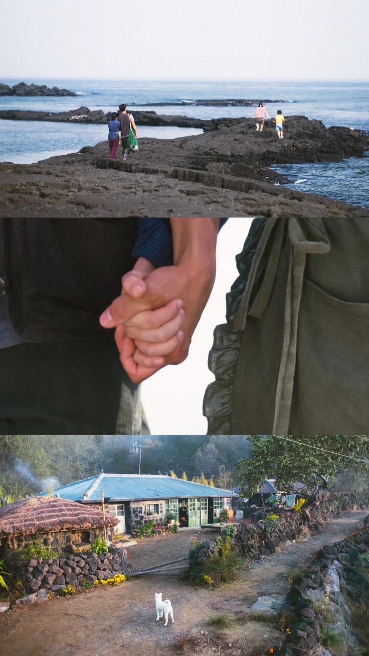 Có một Jeju đẹp nao lòng ở Khi Cuộc Đời Cho Bạn Quả Quýt, ai nhìn qua cũng đắm say cả đời- Ảnh 7.