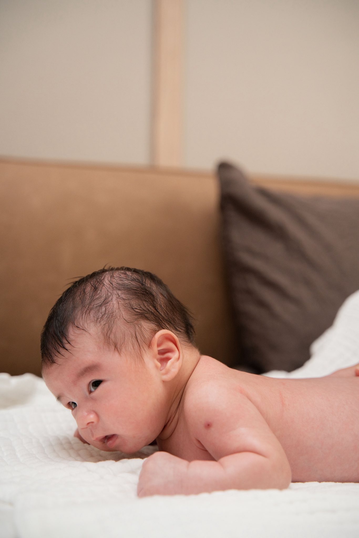 Con trai MC Mai Ngọc đáng yêu trong góc quay của mẹ.