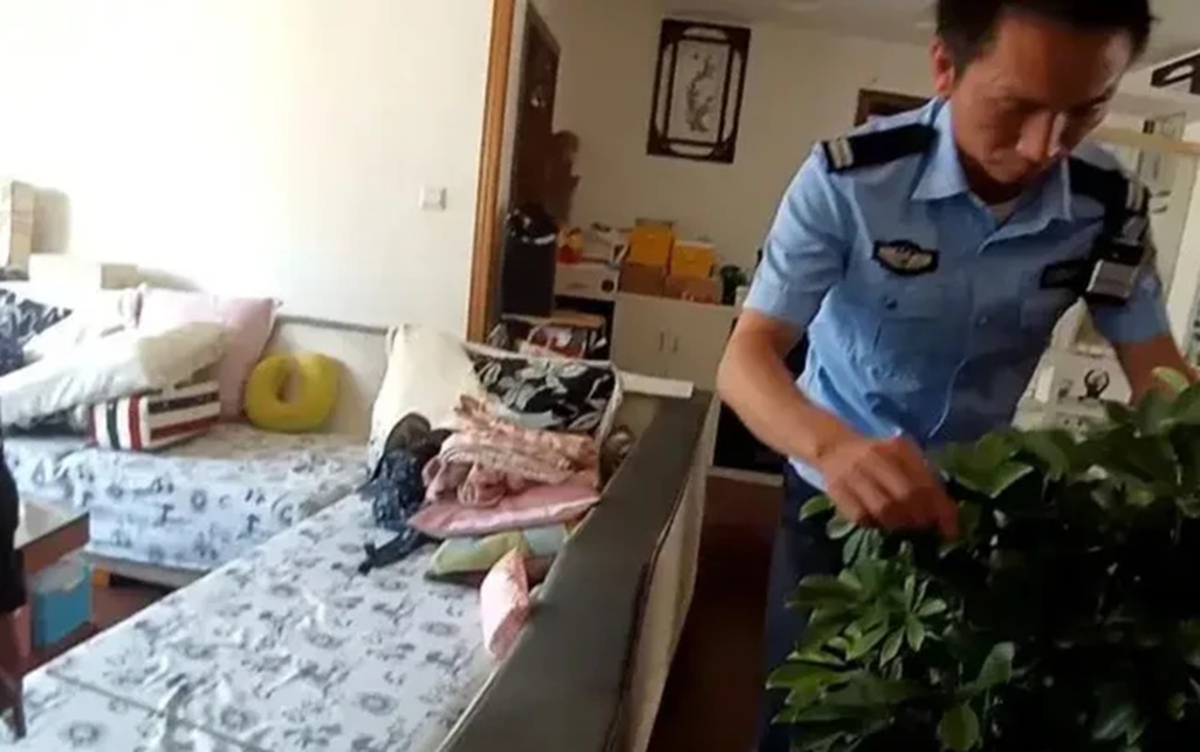 Vừa mở cửa vào nhà, cặp vợ chồng hoảng hốt khi thấy cảnh tượng đáng sợ trong phòng khách- Ảnh 2.