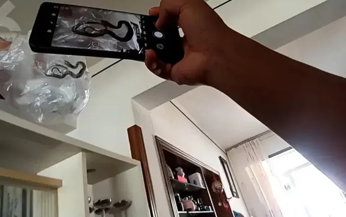 Vừa mở cửa vào nhà, cặp vợ chồng hoảng hốt khi thấy cảnh tượng đáng sợ trong phòng khách- Ảnh 1.