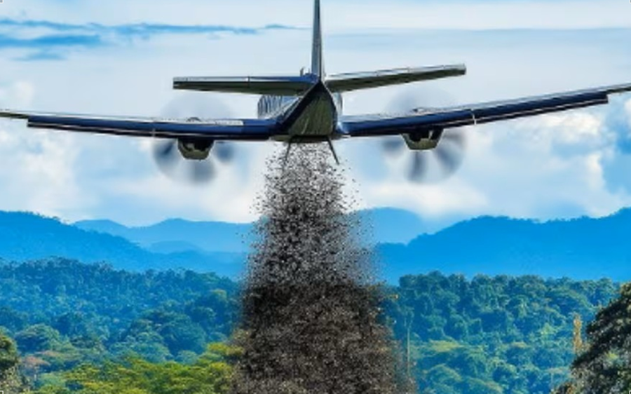 Mỹ tăng cường thả ruồi từ mức 20 triệu lên 100 triệu con xuống Panama mỗi tuần: Lý do thực sự là gì?