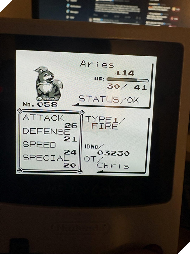 Game Thủ Pokemon Blue Bất Ngờ Khi Pikachu Tiến Hóa Thành Raichu Mà Không Cần Đá Sét 3