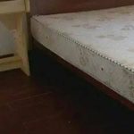 Em bé kêu “có con quái vật dưới gầm giường" trước khi đi ngủ, bảo mẫu cúi xuống kiểm tra phát hiện sự thật còn kinh hãi hơn thế n nguoi dan ong chet lang khi nhin xuong gam giuong 1 1631262883 722 width600height336 1743134561919 17431345621341131709579 0 62 336 600 crop 17431345686342106002617jpg