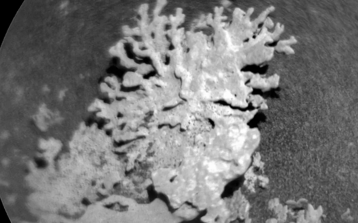 Bức ảnh do tàu thăm dò Curiosity của NASA gửi về từ sao Hỏa (Ảnh: NASA)