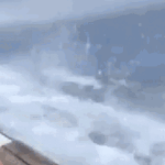 186.000 người rùng mình theo dõi cảnh nhóm du khách vùng vẫy tuyệt vọng khi rơi vào cảnh này trên biển nboot indonesi online video cuttercom 1742966749176510627890 160 0 404 390 crop 17429667594861727341497 1742975972823 1742975 0 0 477 764 crop 17429759969521401606279gifpng