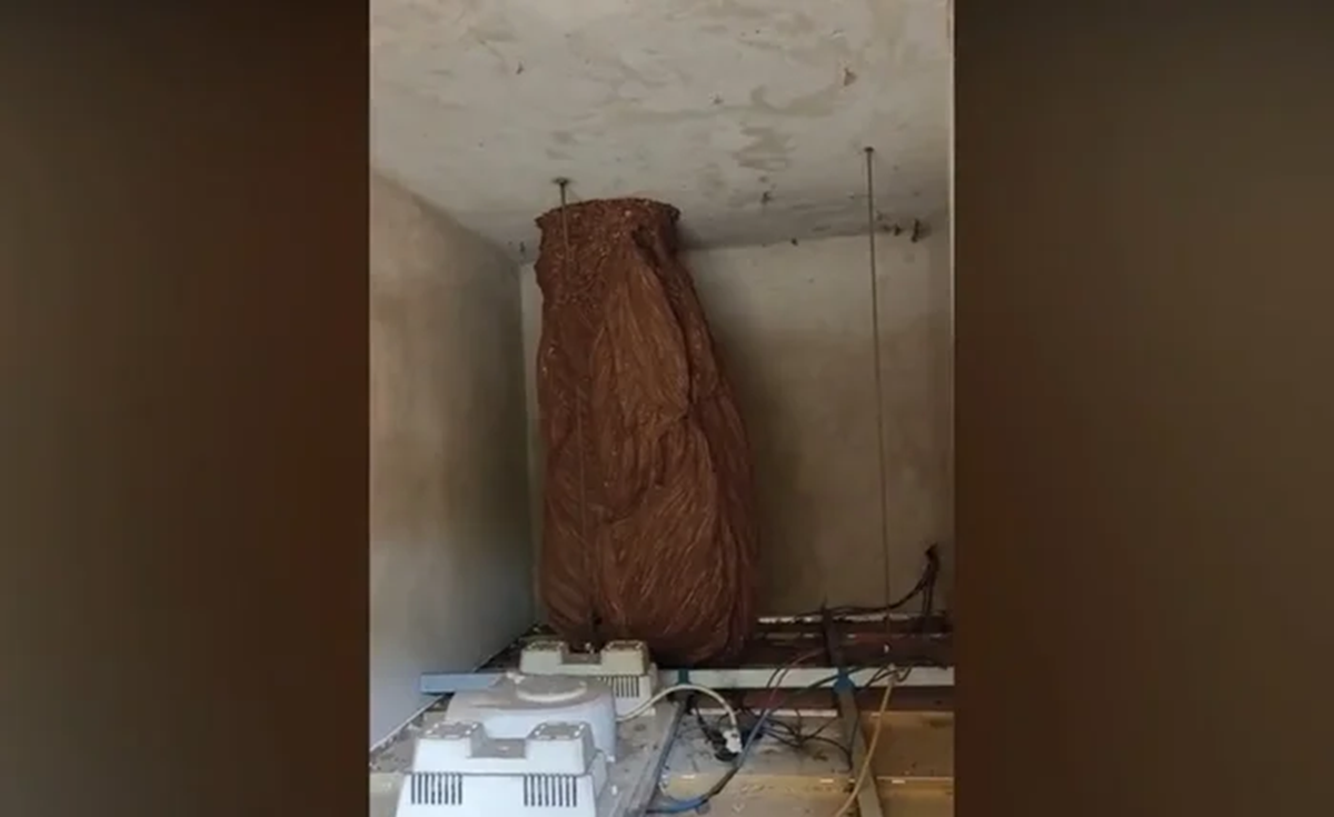 Nghe thấy tiếng động