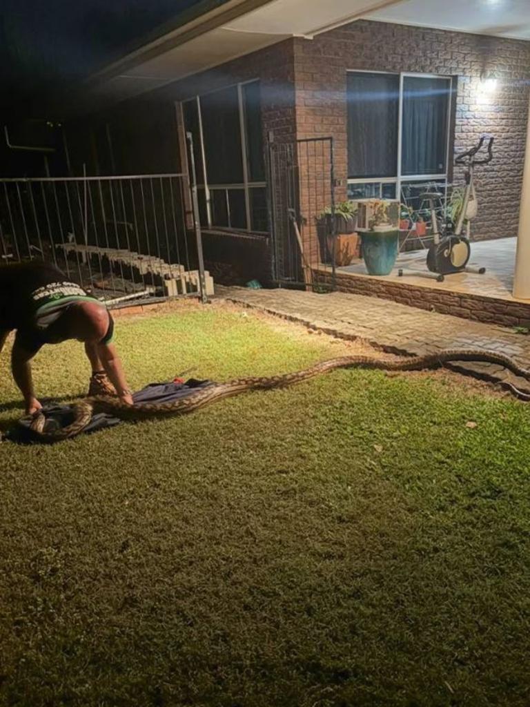 Nghe tiếng động lạ, đi kiểm tra, người đàn ông chứng kiến cảnh tượng nổi da gà- Ảnh 2.