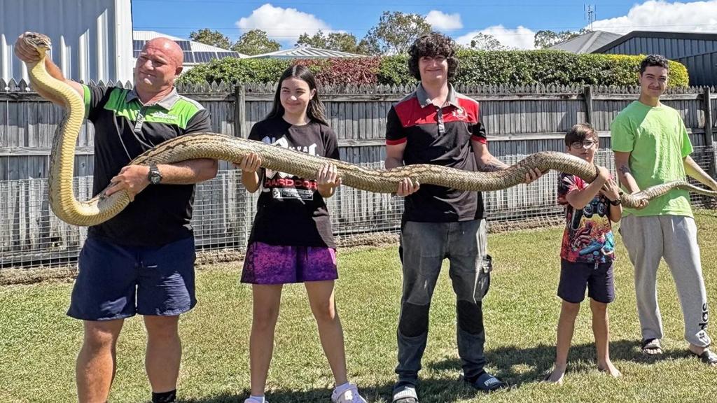 Nghe tiếng động lạ, đi kiểm tra, người đàn ông chứng kiến cảnh tượng nổi da gà- Ảnh 3.