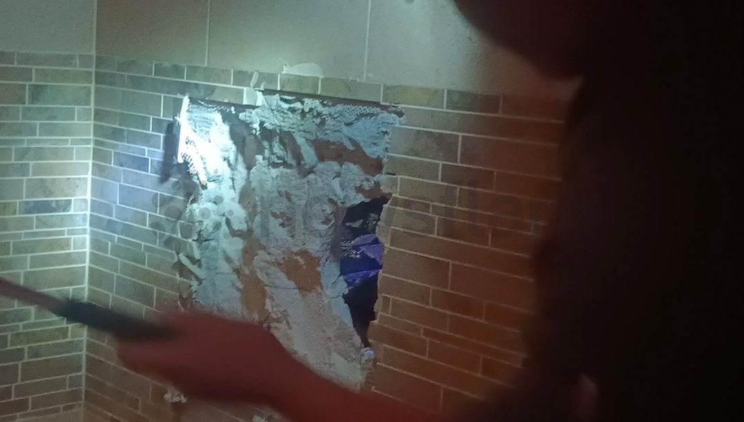 Người đàn ông tay không bắt sống