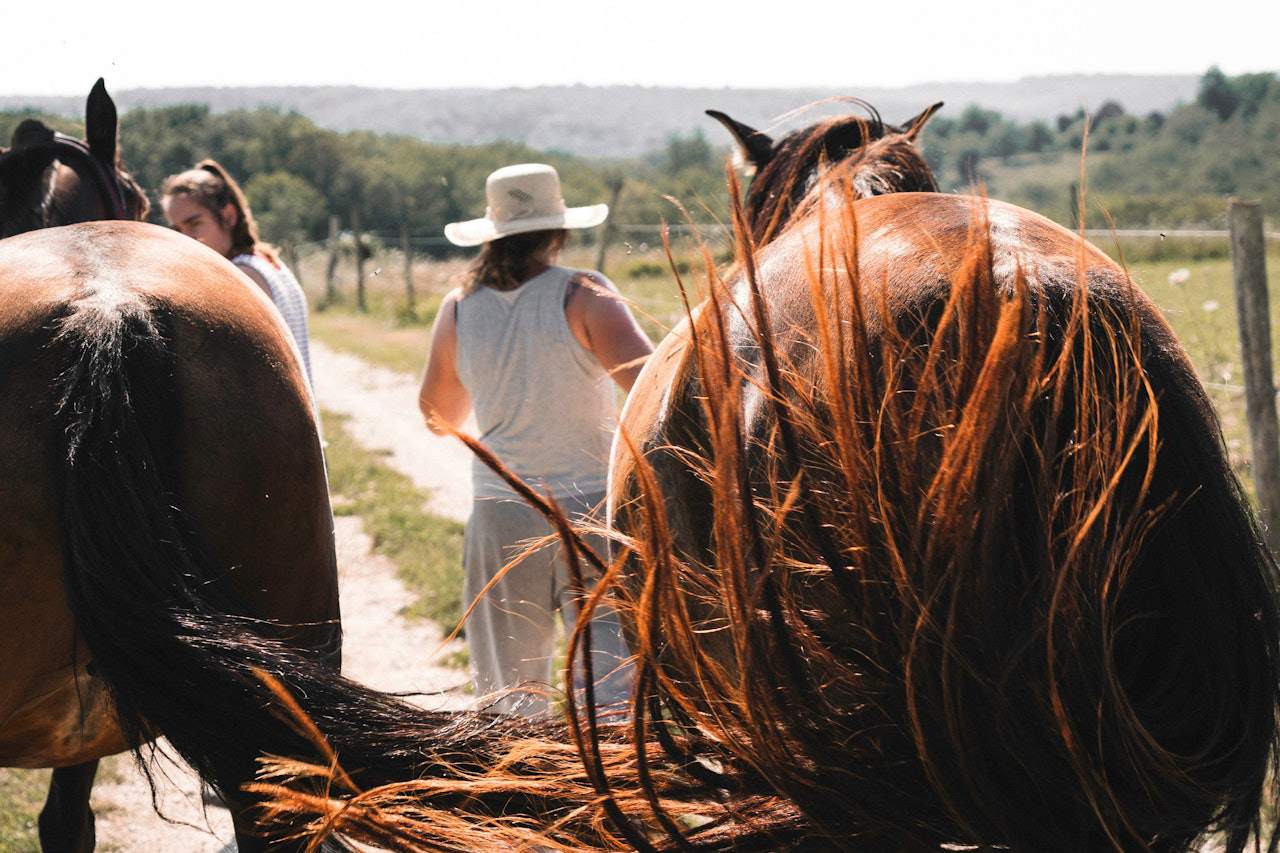 Cuộc sống của bà vẫn ổn trong suốt thời gian qua.