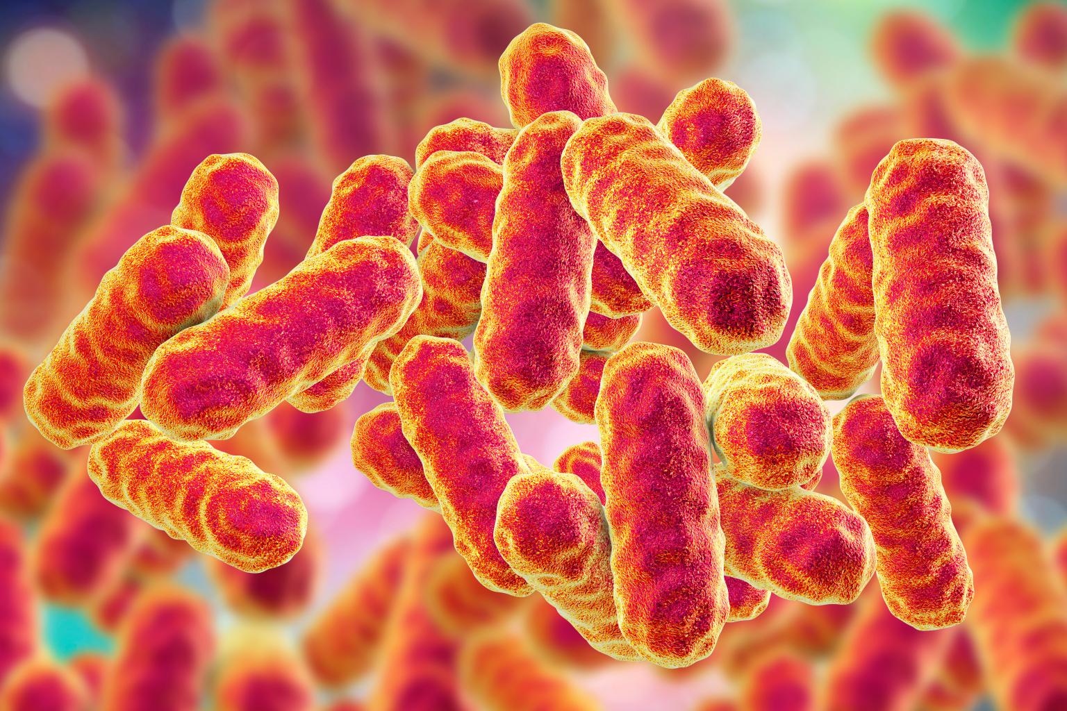 Hai trẻ sơ sinh tử vong tại bệnh viện, lý do bất ngờ- Ảnh 1.