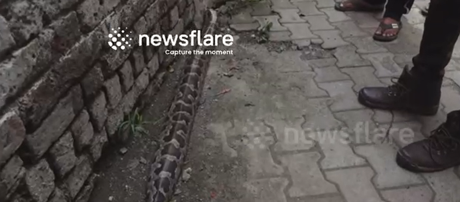 Nhìn ra ngoài đường, người đàn ông bỗng gặp cảnh tượng nổi da gà- Ảnh 1.