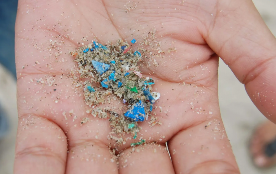 Cảnh báo lượng vi nhựa con người nạp vào mỗi tuần có thể trở thành mối nguy hiểm giấu mặt- Ảnh 1.